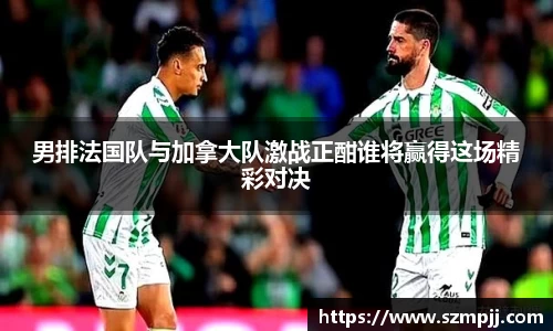 男排法国队与加拿大队激战正酣谁将赢得这场精彩对决