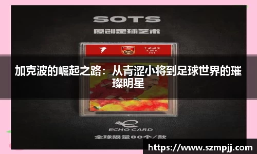 bsports官网入口