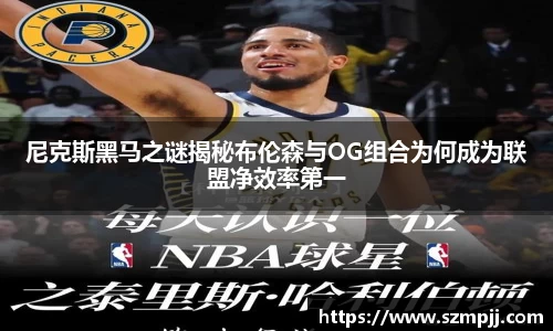 B体育bsports