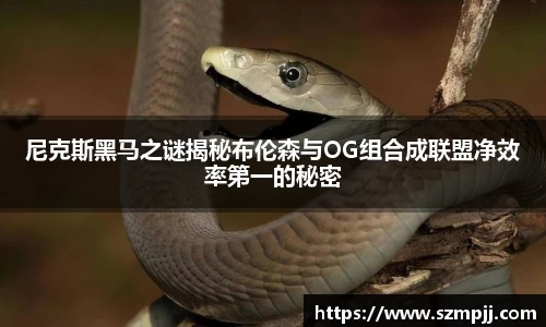 bsports官网